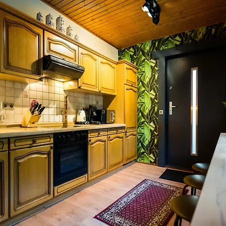 Large Detached In With Garden Holiday home Willingen (Upland)