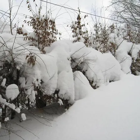 Large Detached In With Garden 펜션 빌링겐