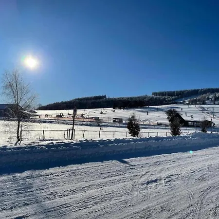 Large, Detached In With Garden Willingen (Upland)