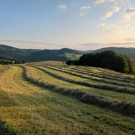 Large, Detached In With Garden * Willingen (Upland)